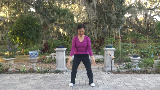 Learn how to Practice and Perform Eight Brocade Qi Gong – Screenshot 2