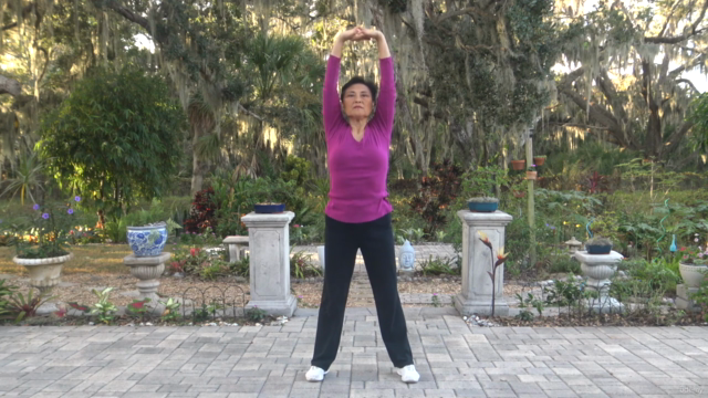 Learn how to Practice and Perform Eight Brocade Qi Gong – Screenshot 3