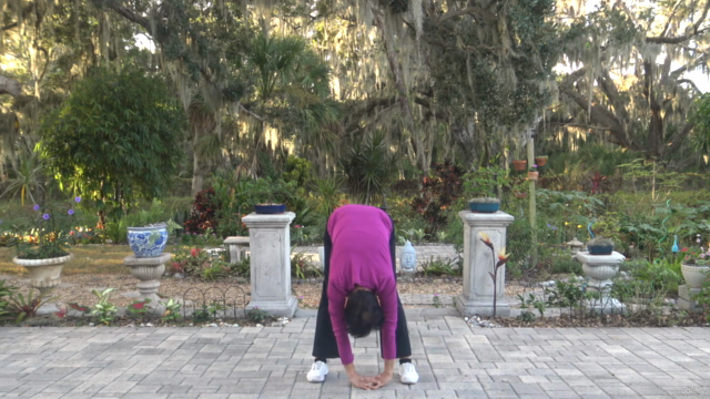 Learn how to Practice and Perform Eight Brocade Qi Gong – Screenshot 4