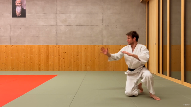 Learn Soft Aikido Ukemi — Master Tobi Ukemi Breakfall – Screenshot 1
