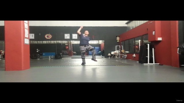 Learn how to Dance Hip hop Dance Moves – Screenshot 2