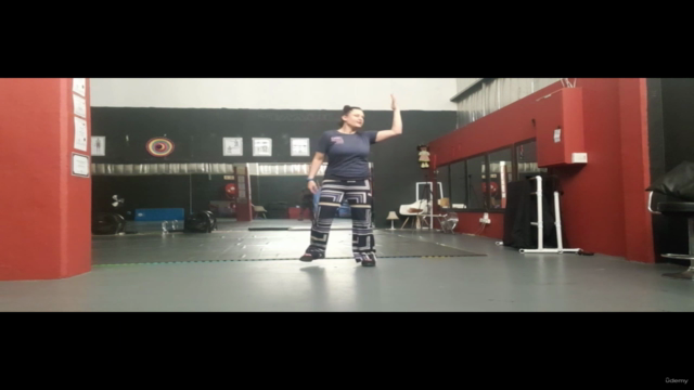 Learn how to Dance Hip hop Dance Moves – Screenshot 3