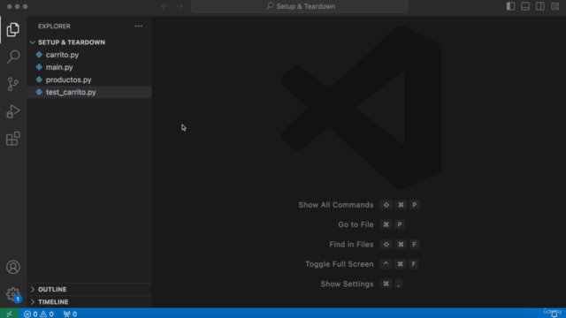 Python Masterclass en Español [2024] – Screenshot 2