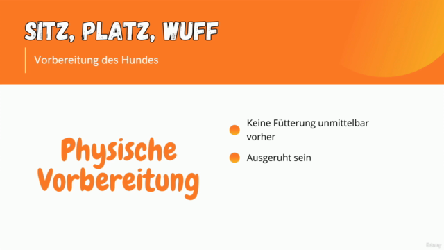Sitz, Platz, Wuff - Vier Pfoten auf dem Weg zum Erfolg – Screenshot 2