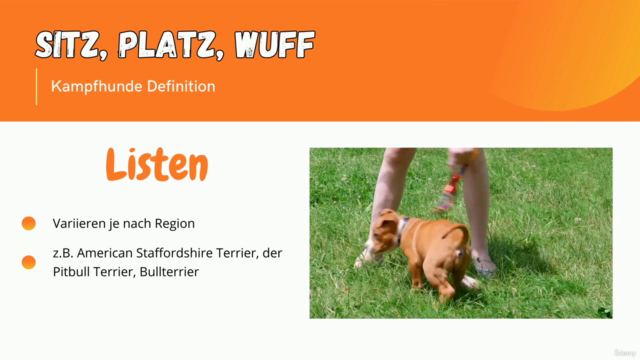 Sitz, Platz, Wuff - Vier Pfoten auf dem Weg zum Erfolg – Screenshot 3