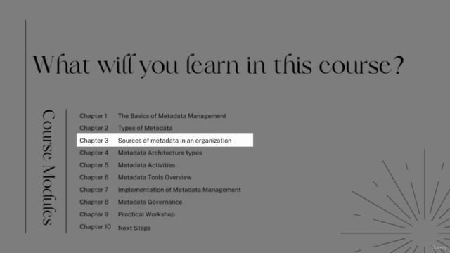 Metadata Management Masterclass - The Ultimate Course – Screenshot 2