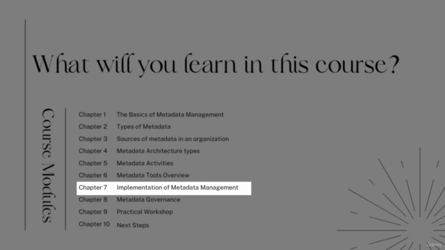 Metadata Management Masterclass - The Ultimate Course – Screenshot 3