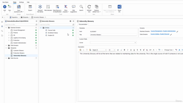 Metadata Management Masterclass - The Ultimate Course – Screenshot 4
