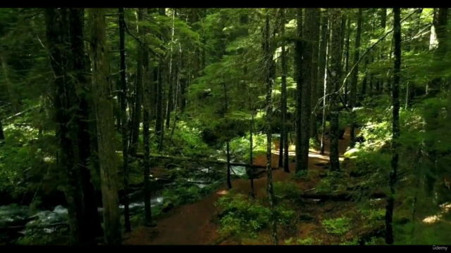 Sustainability in Business & Green Business Practices 2.0 – Screenshot 1
