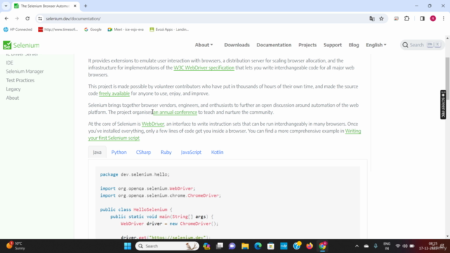 Selenium, Appium with Java Automation Testing – Screenshot 2