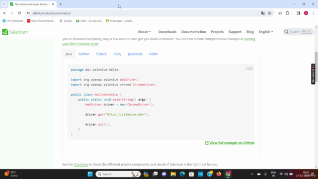 Selenium, Appium with Java Automation Testing – Screenshot 3
