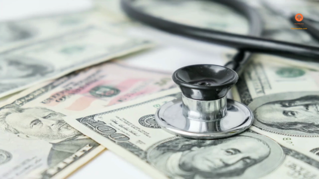 The Challenge & Changes in 2025 American Healthcare Industry – Screenshot 4