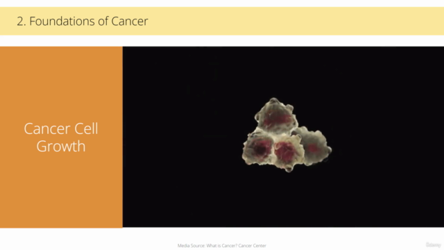 Transforming Oncology Clinical Research & Trials [2024] – Screenshot 2