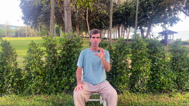 Qi Gong: The Taoist Path to Optimal Health and Well-Being – Screenshot 3