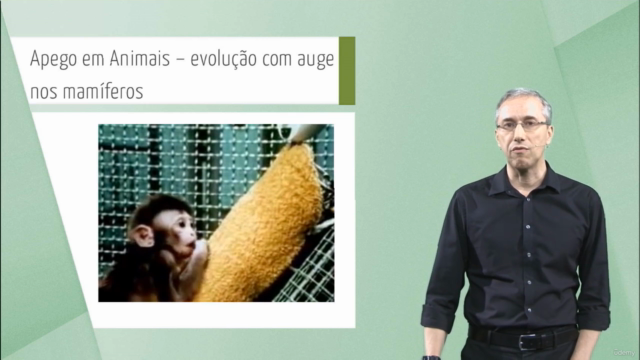Teoria do Apego – Screenshot 3