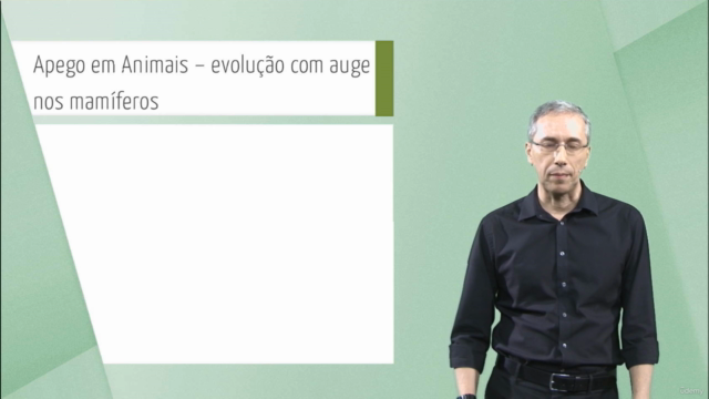 Teoria do Apego – Screenshot 4
