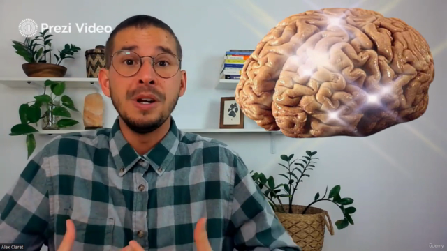 Coaching de Vida con PNL - Diploma Coach PNL - 2 cursos en 1 – Screenshot 1