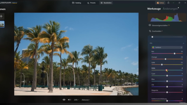 Luminar Neo - Der Komplettkurs – Screenshot 1