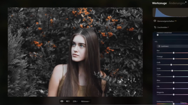 Luminar Neo - Der Komplettkurs – Screenshot 2