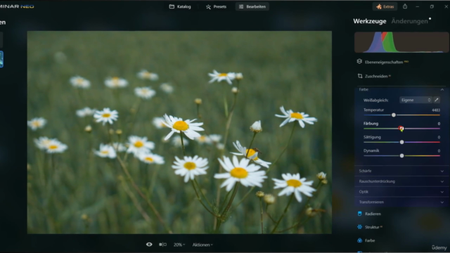 Luminar Neo - Der Komplettkurs – Screenshot 3