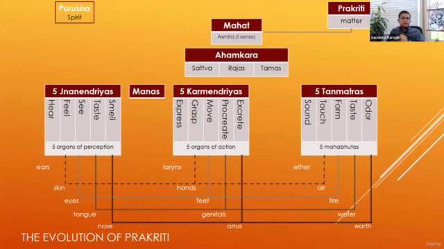 Deep Dive into Patanjali's Yoga Sutras (Ch 01; Samadhi Pada) – Screenshot 2
