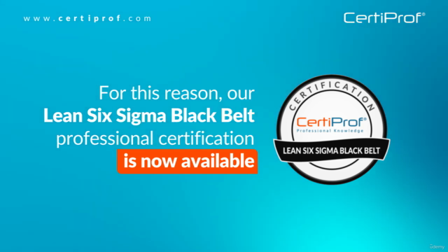 Certificación Profesional Lean Six Sigma Black Belt – Screenshot 2