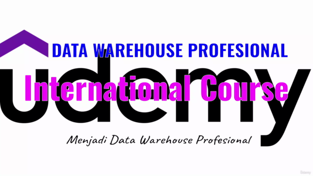 Data Warehouse Professional – Screenshot 1