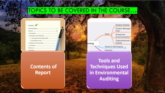 Introduction to Environmental Audit – Screenshot 3