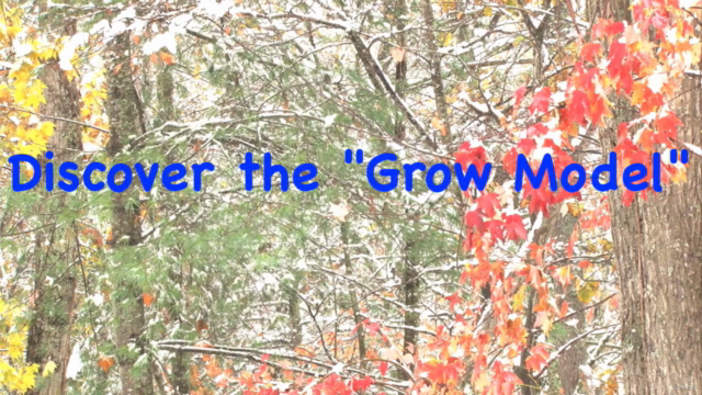 Life and Career Coaching for Yourself using the GROW Model – Screenshot 1