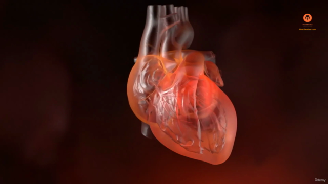 UK & USA Doctor /Nurse skill - ABG, BLS , X ray, ECG Part 2 – Screenshot 1