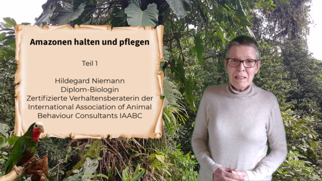 Papageien: Amazonen halten und pflegen Teil 1 – Screenshot 1