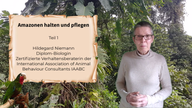 Papageien: Amazonen halten und pflegen Teil 1 – Screenshot 2