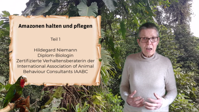 Papageien: Amazonen halten und pflegen Teil 1 – Screenshot 3