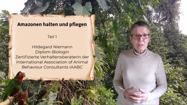Papageien: Amazonen halten und pflegen Teil 1 – Screenshot 4