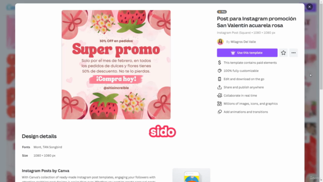 Curso Básico de Canva: Crea tu marca en Instagram – Screenshot 4