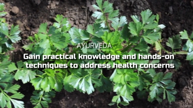 Ayurveda: Ayurveda Basics For Health Certification Course – Screenshot 4