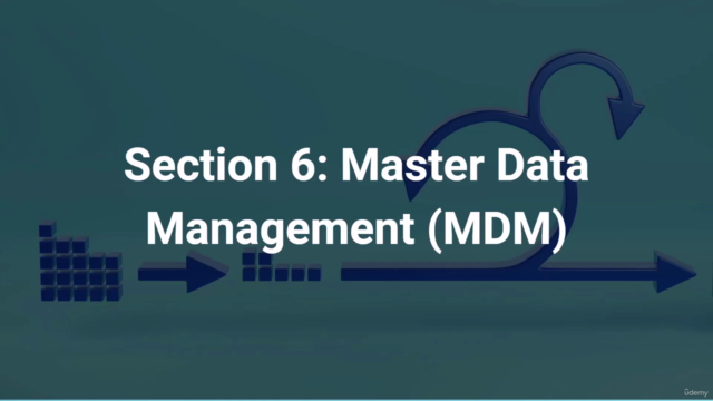 Certified Data Management Professional (CDMP) Training - Screenshot_04