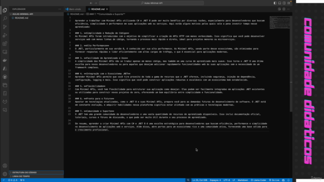 Minimal API Experts - C# dotnet 8 – Screenshot 1