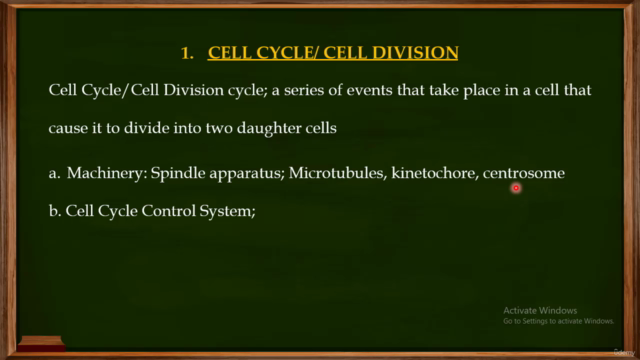 Oncology and Monoclonal Antibodies – Screenshot 1