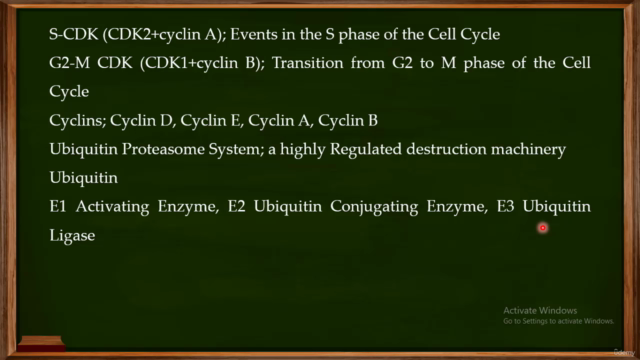 Oncology and Monoclonal Antibodies – Screenshot 2