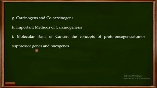 Oncology and Monoclonal Antibodies – Screenshot 3