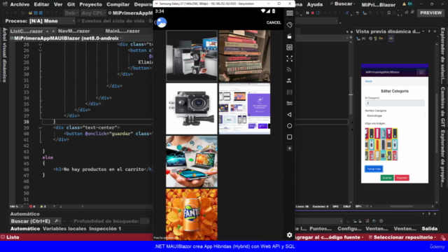 .NET MAUI Blazor crea App Hibridas(Hybrid) con Web API y SQL – Screenshot 3