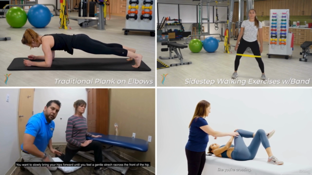 COMPLETE Full Body Physical Therapy Program – Screenshot 3
