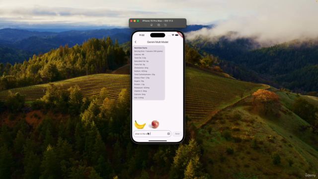 Flutter Chatbot with Gemini – Screenshot 4