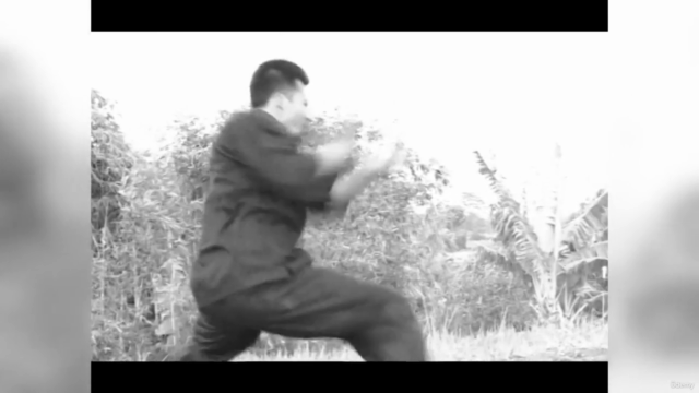 Pencak Silat - Pamonyet - The Monkey Fighting System Vol.2 - Screenshot_04