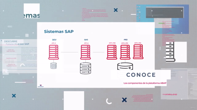 Administra SAP S/4HANA [SAP BASIS] – Screenshot 1