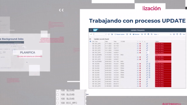 Administra SAP S/4HANA [SAP BASIS] – Screenshot 3