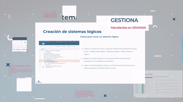 Administra SAP S/4HANA [SAP BASIS] – Screenshot 4