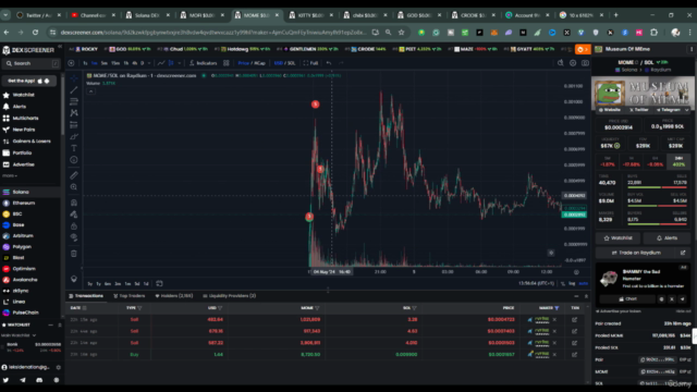 Memecoin Mastery : How To Trade Memecoin On Solana – Screenshot 1