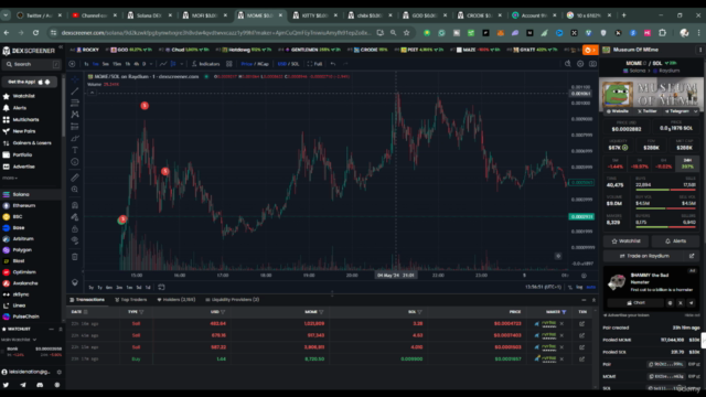 Memecoin Mastery : How To Trade Memecoin On Solana – Screenshot 2